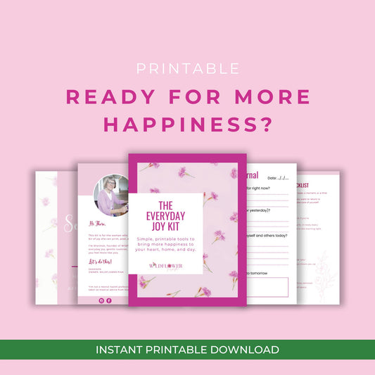 The Everyday Joy Kit PDF